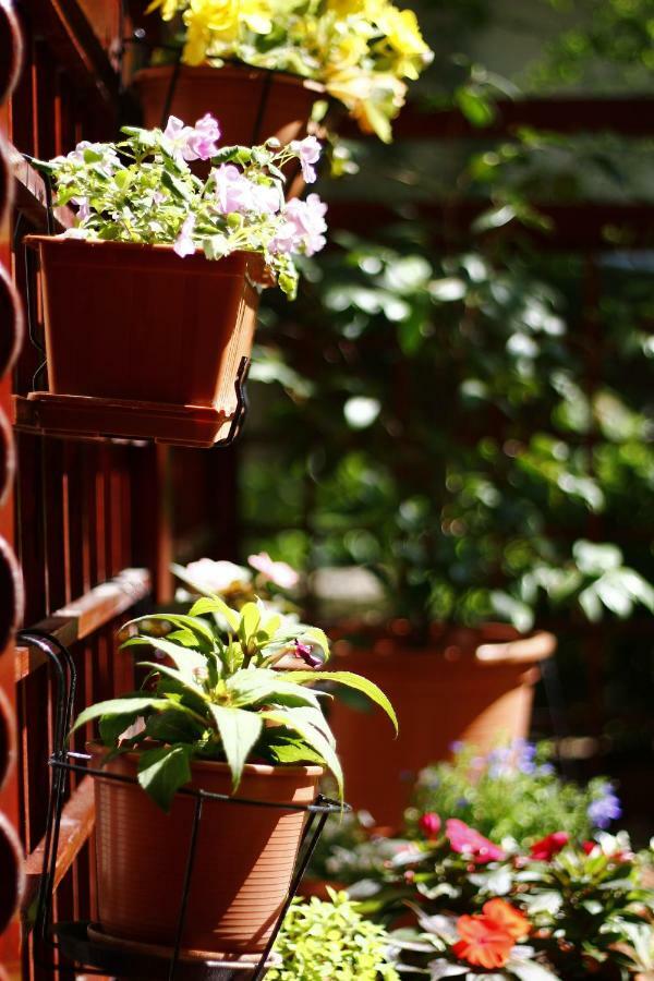 Апартаменти Downtown Garden Isle In Urban Style-Free Parking Будапешт Екстер'єр фото